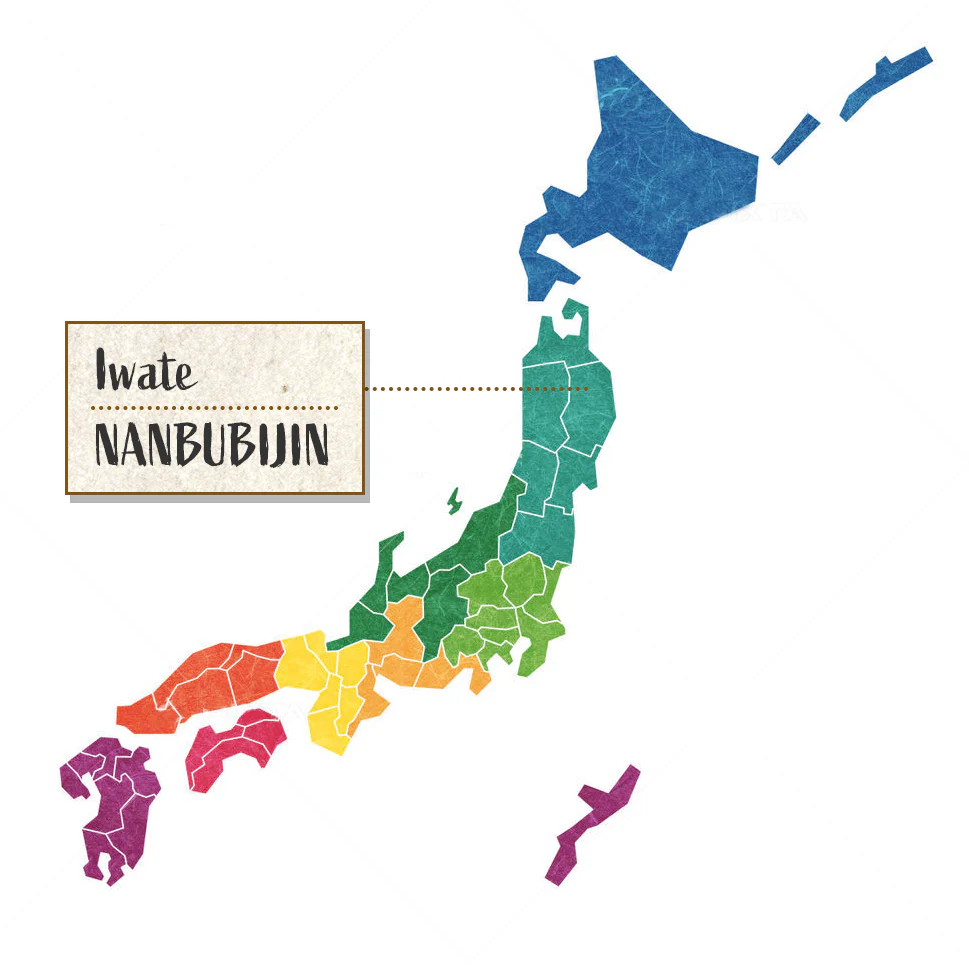 [SYD]NANBUBIJIN Umeshu 720ml - Image 2