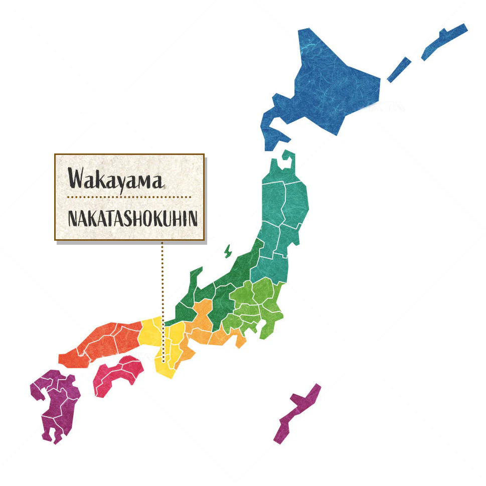 [SYD]NAKATA Kokuto Umeshu 720ml - Image 3