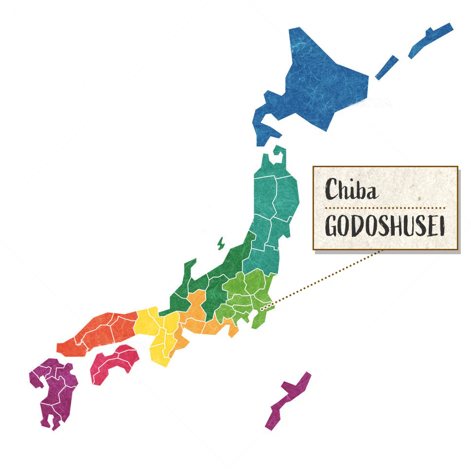 [SYD]GODO Oshukubai Umeshu-Decanter with Plum 720ml - Image 2