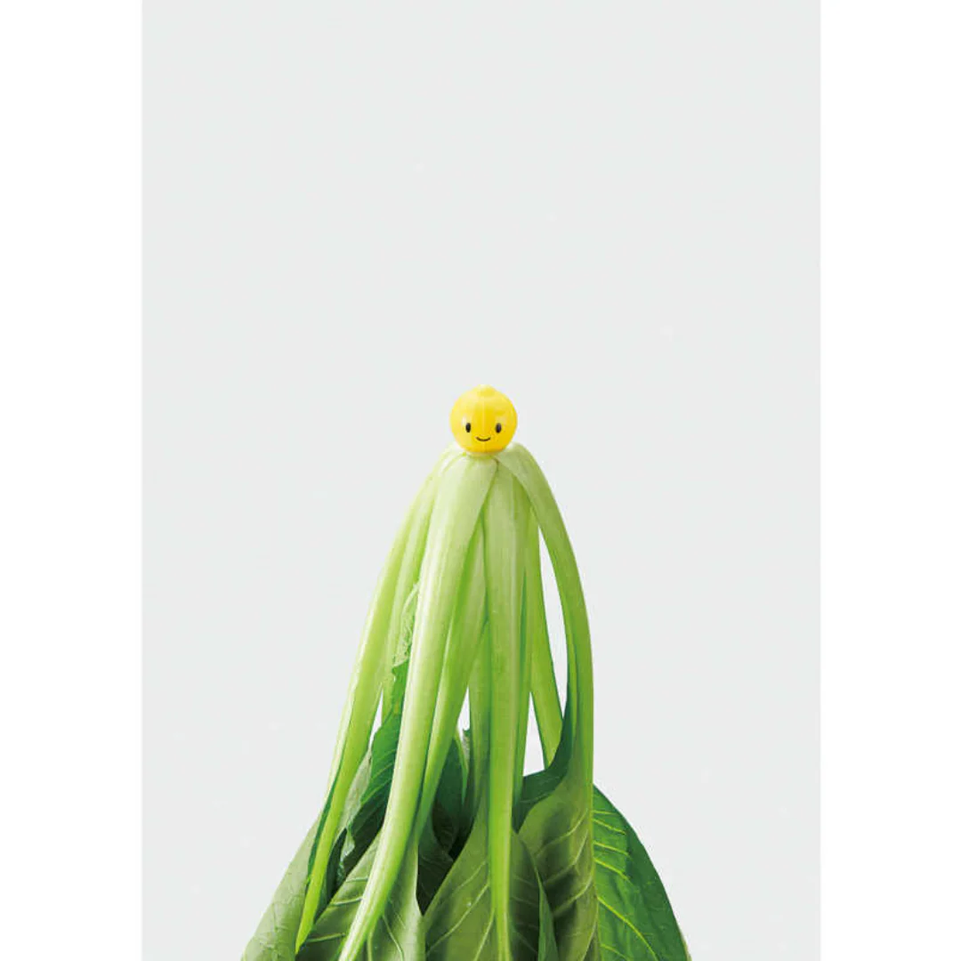 [SYD]Vegista Vegeshaki Fresh Vegetable Keeper Mini 3pc - Image 3