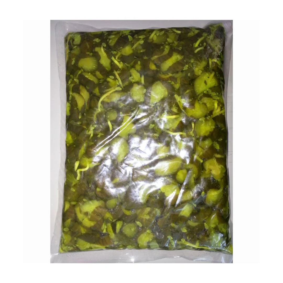[SYD]TOSEN Ao Kappa 1.3kg