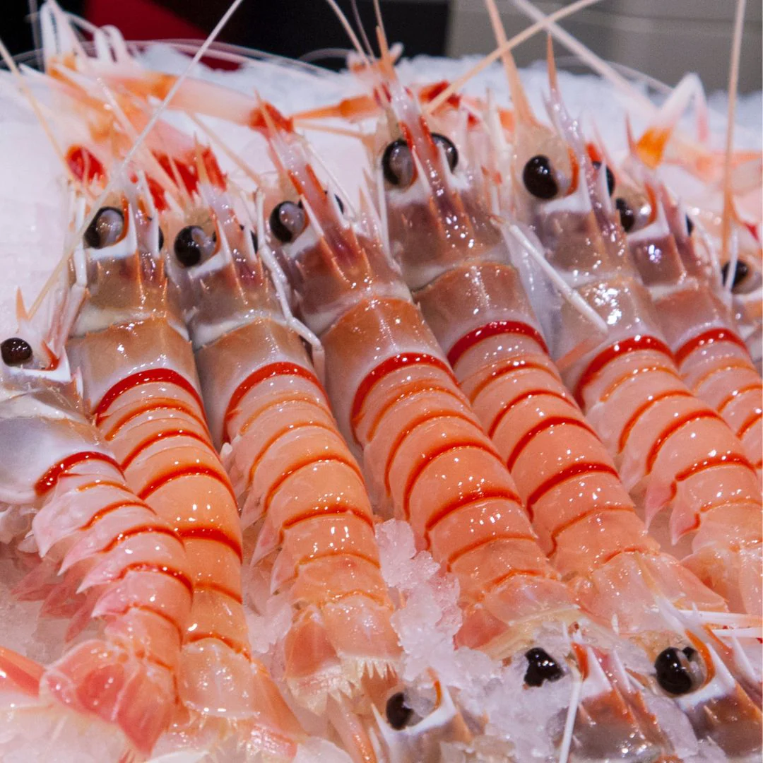 [SYD]New Zealand Scampi Whole No.3 - 2kg